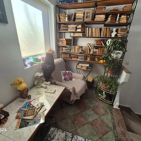 Old Town Petcu's House 브라쇼브