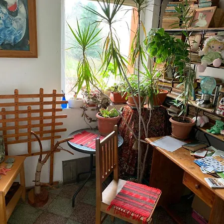 Old Town Petcu's House 3* براشوف