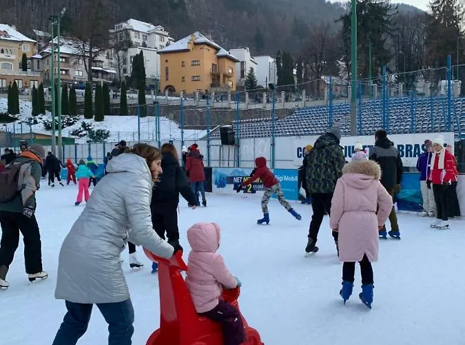 Old Town Petcu's House Guest house