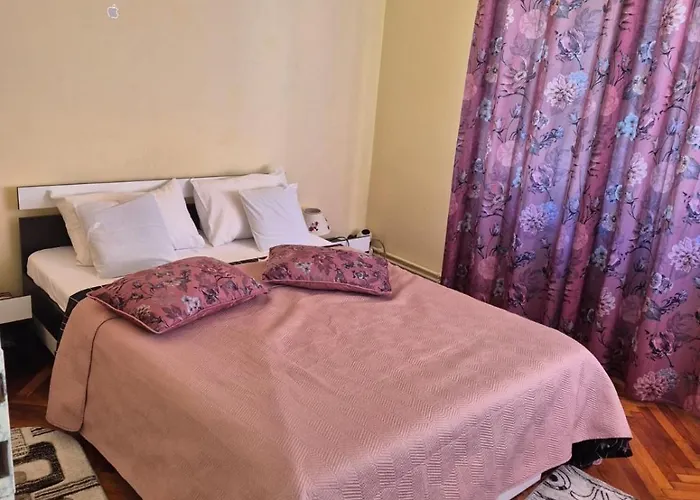 Old Town Petcu's House Guest house 3*