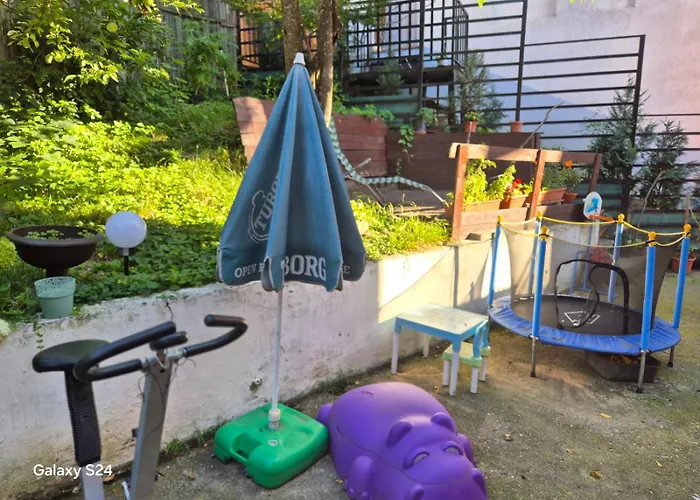 Old Town Petcu's House Guest house