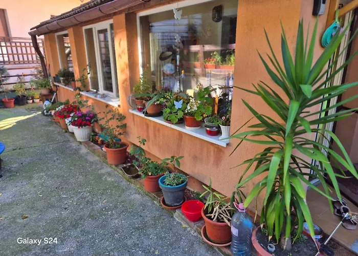 Guest house Old Town Petcu's House